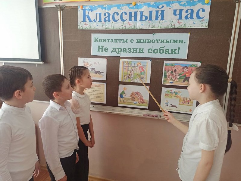 Беседа &amp;quot;Контакты с животными. Не дразни животных&amp;quot;.